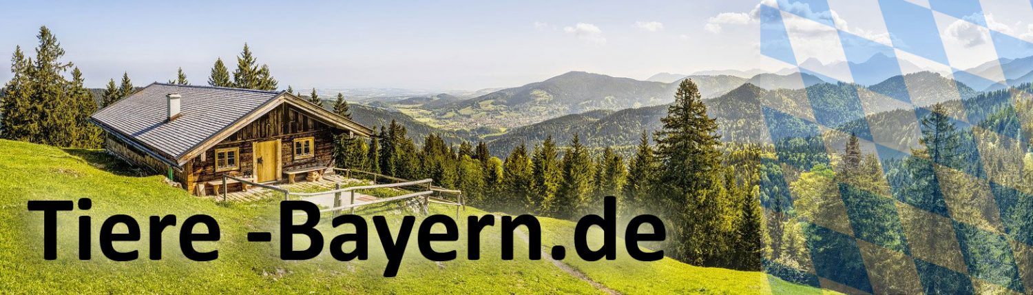 Bayerns Tiere